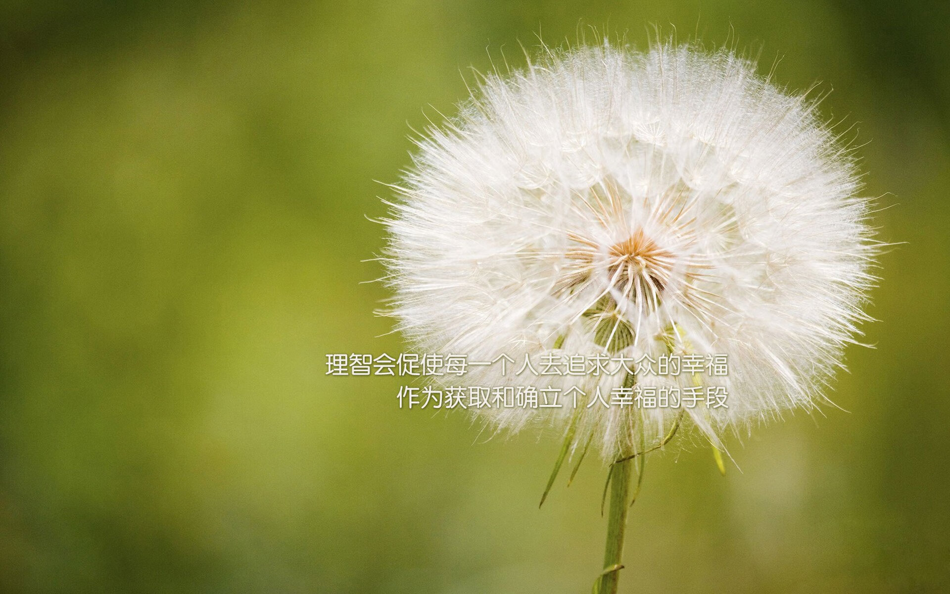 细节决定成败：战术中不容忽视的小细节，细节决定成败的解释
