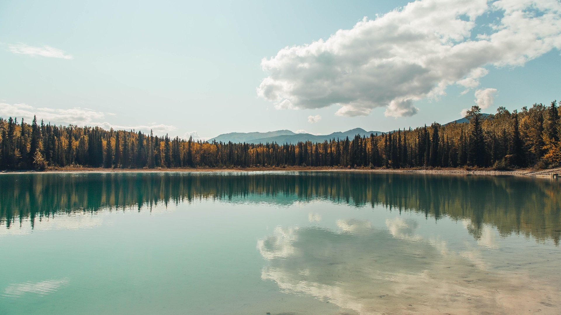 赛季揭幕战：五大联赛豪门逐鹿争锋，五大联赛豪门排行