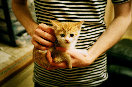 天府新区迎来年度湖滨赛事盛典,变形计十七季主人公