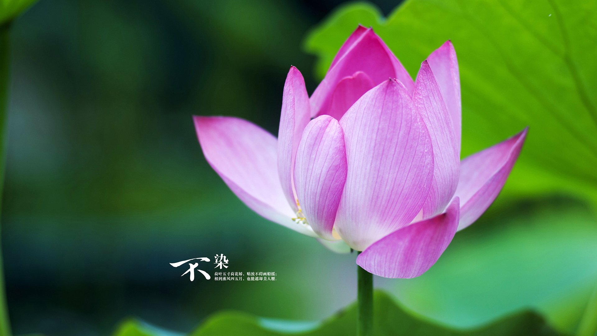 德国队备战国际乒联混合团体世界杯:赛制与战术的结合,国际乒联德国公开赛