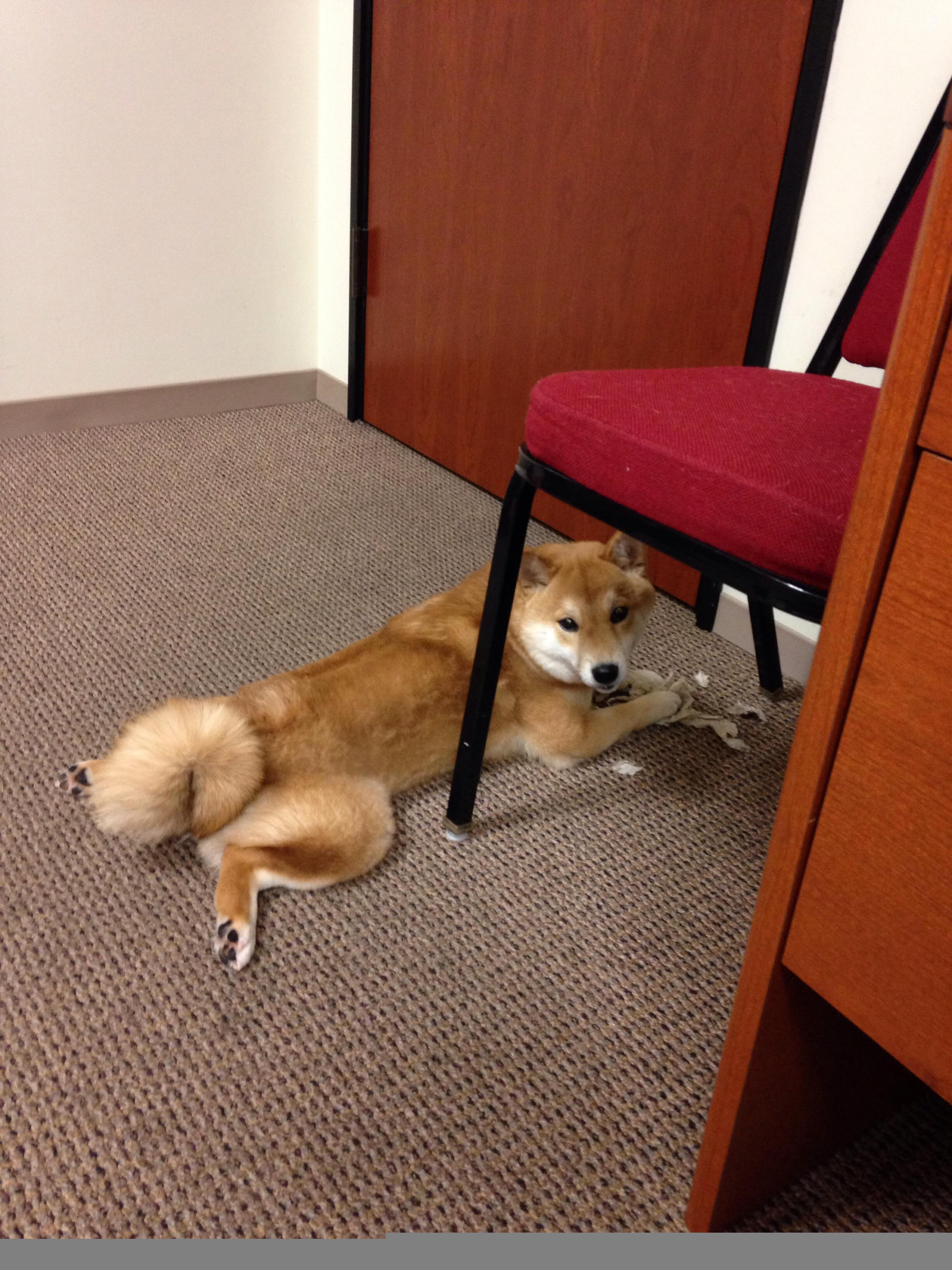 球员心理辅导缺乏专业支持