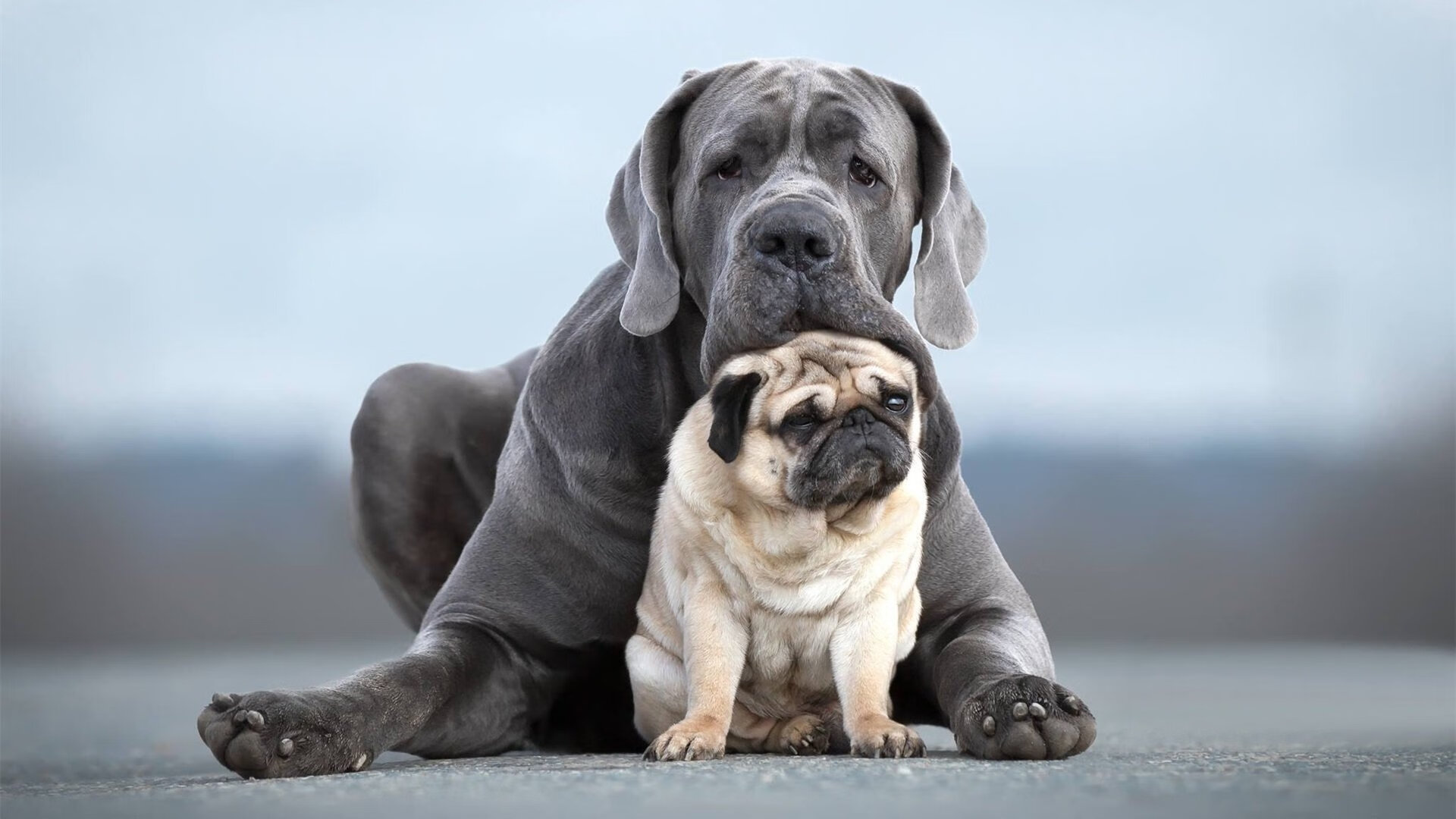开云·体育官网-青年运动员管理平台试点家长同步机制，青少年运动员注册教程