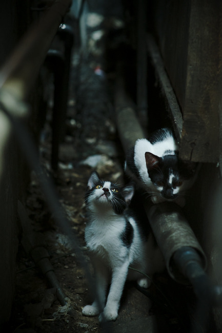 kaiyun开云·官方网站-史密斯决赛细节体现多年磨砺，史密斯jr集锦