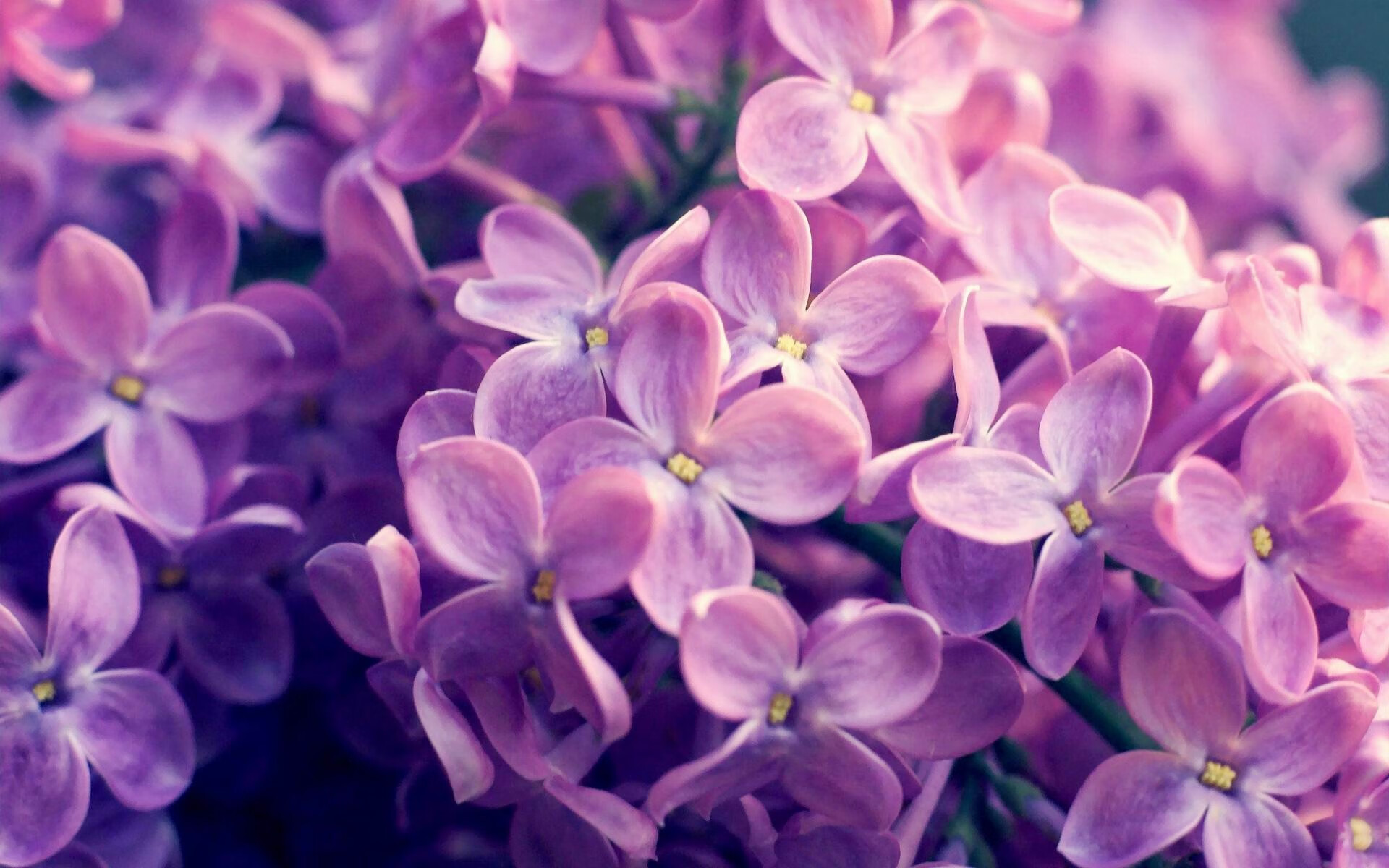 开云官方-国王媒体开放日迎来大批记者参访，国王发布消息