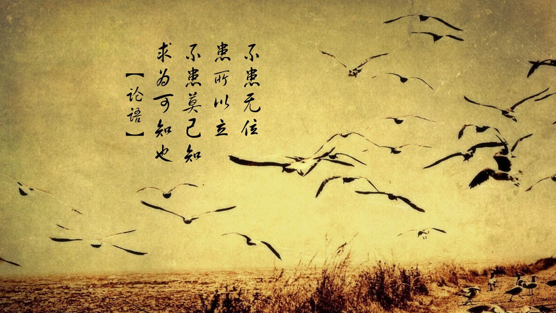 斯洛伐克男篮在欧洲大赛中追梦不停，迈向更远的目标，斯洛伐克篮球国家队