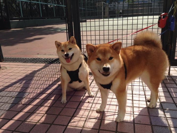 kaiyun体育综合-长期拉练积累经验年轻球员逐渐适应高强度比赛节奏